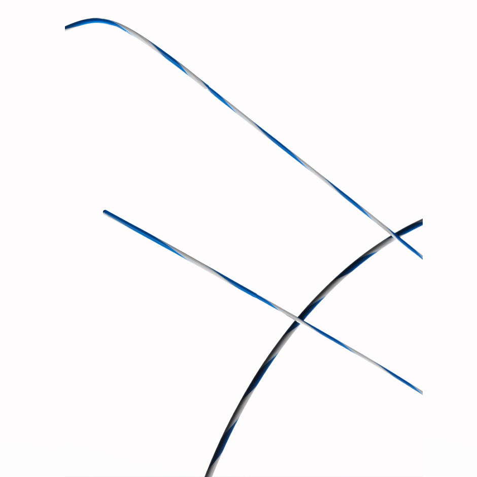 Zebra Guidewire